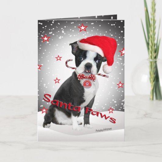 Boston Terrier Santa Paws kaarten (Voorkant)