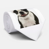 Boston Terrier Santa Stropdas (Opgerold)