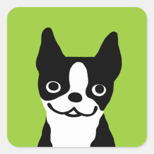 Boston Terrier - Schattigee hond Vierkante Sticker