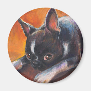 Boston Terrier-schilderhond Svetlana Novikova Magneet