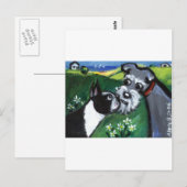 Boston Terrier & Schnauzer sniff Briefkaart (Voorkant / Achterkant)
