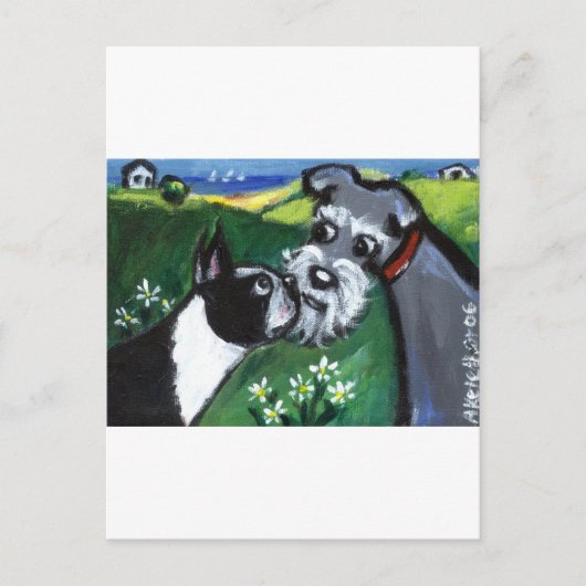 Boston Terrier & Schnauzer sniff Briefkaart (Voorkant)