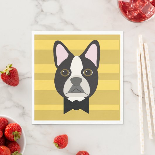 Boston Terrier Servet (Insitu)