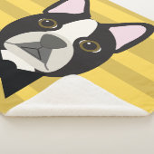 Boston Terrier Sherpa Deken (3/4)