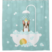 Boston Terrier Shower Curtain Douchegordijn (Voorkant)