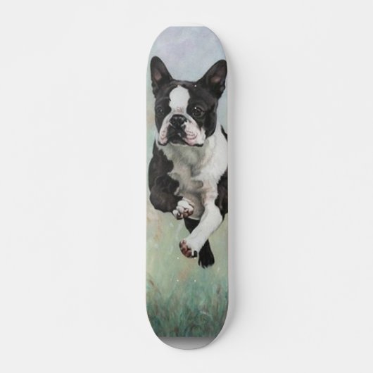 Boston Terrier Skateboard (Voorkant)