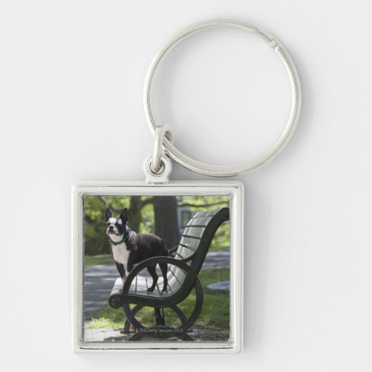 Boston Terrier Sleutelhanger (Voorkant)