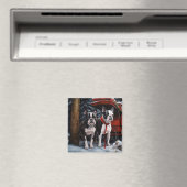 Boston Terrier Sneeuw Slede Kerst Decoratie Magneet (Insitu (Vaatwasser))