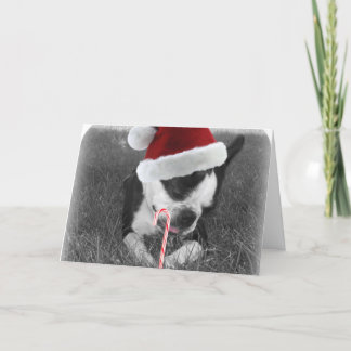 Boston Terrier snoepriet kerstkaart Feestdagen Kaart