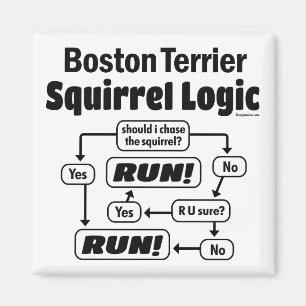 Boston Terrier Squirrel Logic Magneet