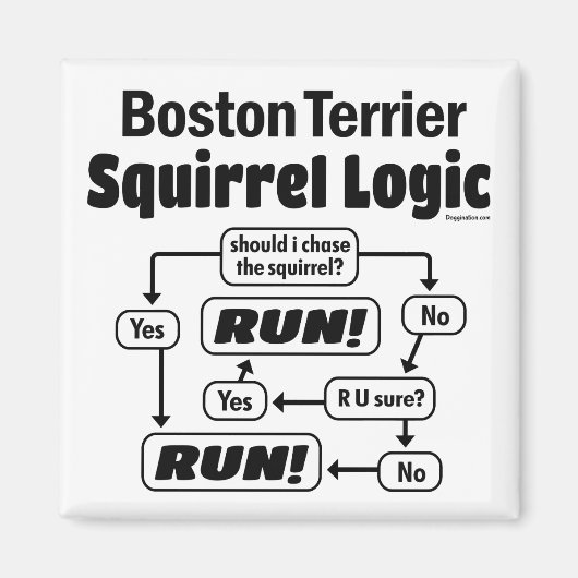 Boston Terrier Squirrel Logic Magneet (Voorkant)