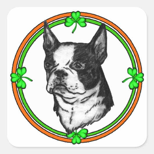 Boston Terrier St Patrick's Day Vierkante Sticker (Voorkant)