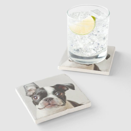 Boston Terrier Stenen Onderzetter (Zijkant)