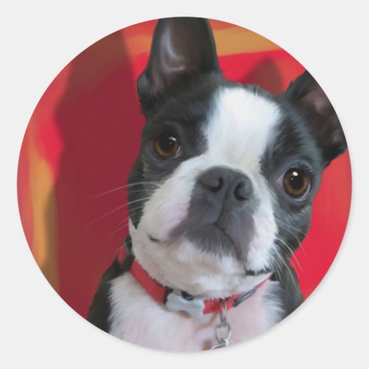 Boston Terrier Sticker (Voorkant)