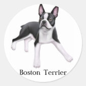 Boston Terrier Sticker (Voorkant)