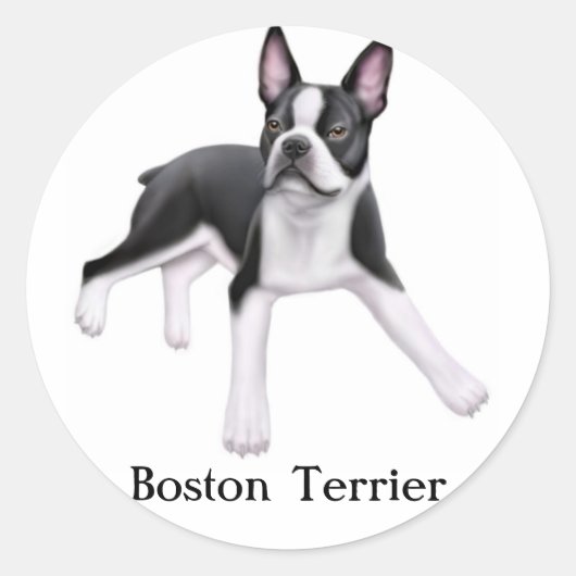 Boston Terrier Sticker (Voorkant)