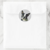 Boston Terrier Sticker (Tas)