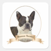 Boston Terrier Stickers (Voorkant)