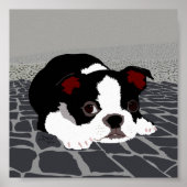 Boston Terrier Stone Paving Wall Art Poster (Voorkant)