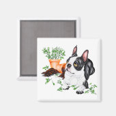 Boston Terrier Stoute Pup Magnet (Voorkant / Achterkant)