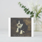 Boston Terrier:  Te Freakin' Cute Briefkaart (Staand voorkant)