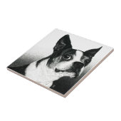 Boston Terrier Tegel - "Boston Style" Tegeltje (Zijkant)
