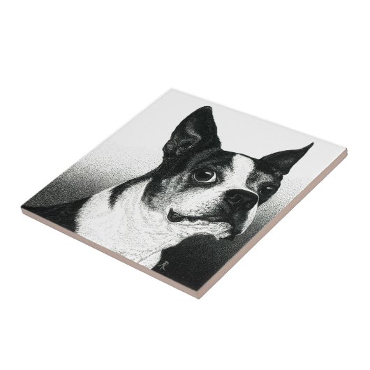 Boston Terrier Tegel - "Boston Style" Tegeltje (Zijkant)
