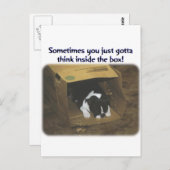 Boston Terrier: Think Inside the Box Briefkaart (Voorkant / Achterkant)