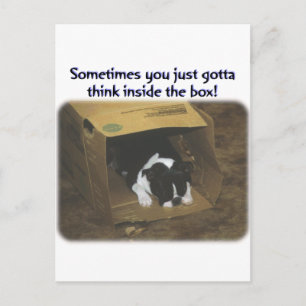 Boston Terrier:  Think Inside the Box Briefkaart