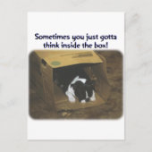 Boston Terrier: Think Inside the Box Briefkaart (Voorkant)