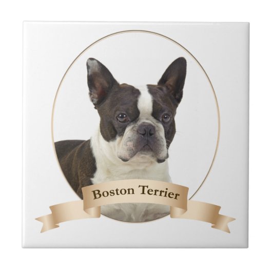 Boston Terrier Tile Tegeltje (Voorkant)