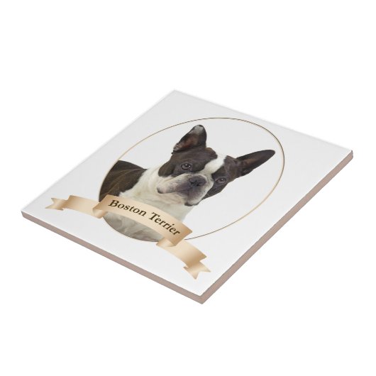 Boston Terrier Tile Tegeltje (Zijkant)