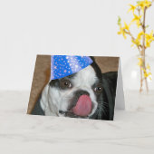 Boston Terrier Tongue Happy Birthday Card Kaart (Gele Bloem)