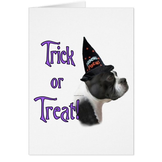 Boston Terrier Trick (Voorkant)