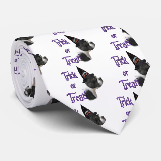 Boston Terrier Trick Stropdas (Opgerold)