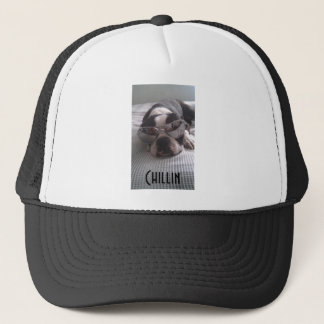 Boston Terrier Trucker Hat Pet
