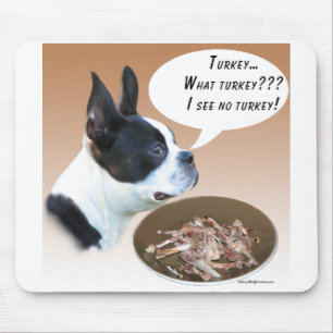 Boston Terrier Turkije Muismat