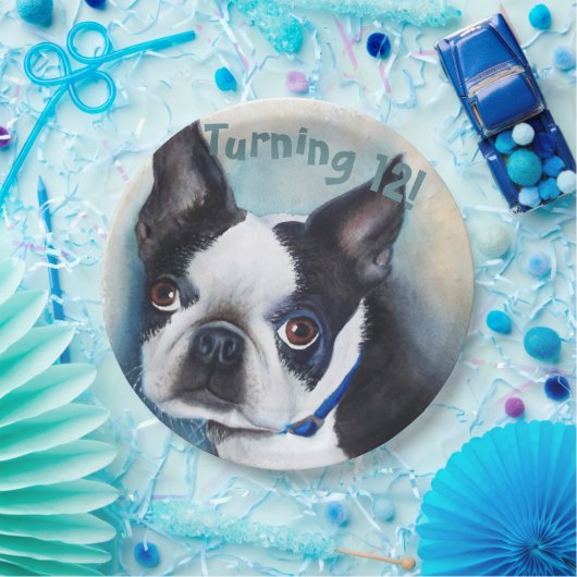 Boston Terrier Turning 12 PARTY Papieren Bordje (Feest)