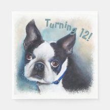 Boston Terrier Turning 12 Party