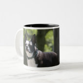 Boston Terrier Tweekleurige Koffiemok (Voorkant links)