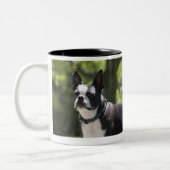 Boston Terrier Tweekleurige Koffiemok (Links)