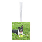 Boston Terrier Two Photo Holiday Cube Ornament (Rechts)