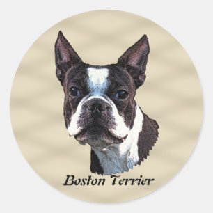 Boston Terrier v3 Ronde Sticker