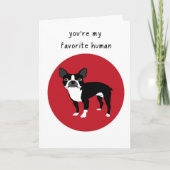 Boston Terrier Valentijnsdag Card Feestdagen Kaart (Voorkant)