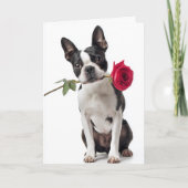Boston Terrier Valentine – Dapper Love Kaart (Voorkant)