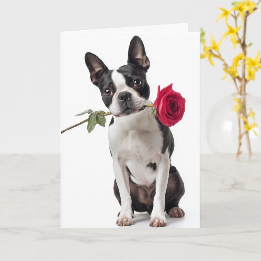 Boston Terrier Valentine – Dapper Love Kaart (Gele Bloem)