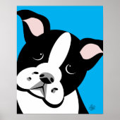 Boston Terrier Vector Portrait Poster (Voorkant)
