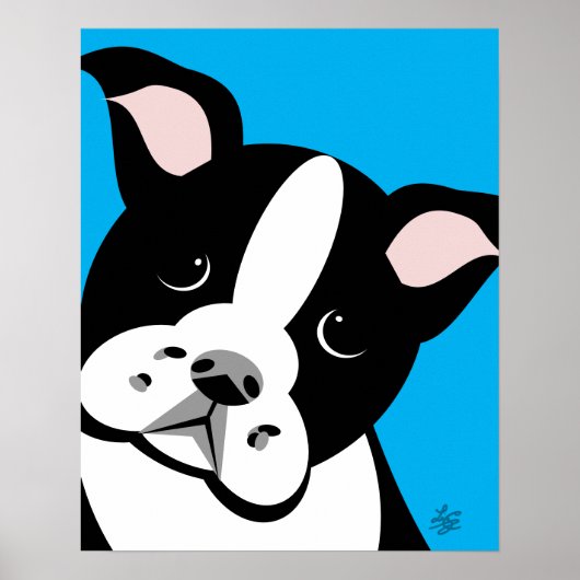 Boston Terrier Vector Portrait Poster (Voorkant)