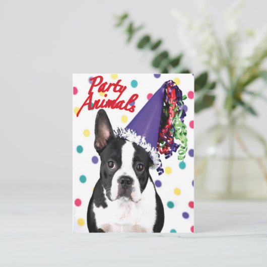 Boston Terrier Verjaardag Kaart (Staand voorkant)