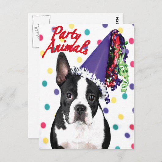 Boston Terrier Verjaardag Kaart (Voorkant / Achterkant)